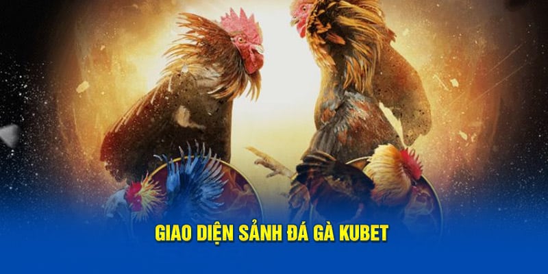 Đá gà Kubet với giao diện vô cùng đẹp mắt Đá gà Kubet với giao diện vô cùng đẹp mắt